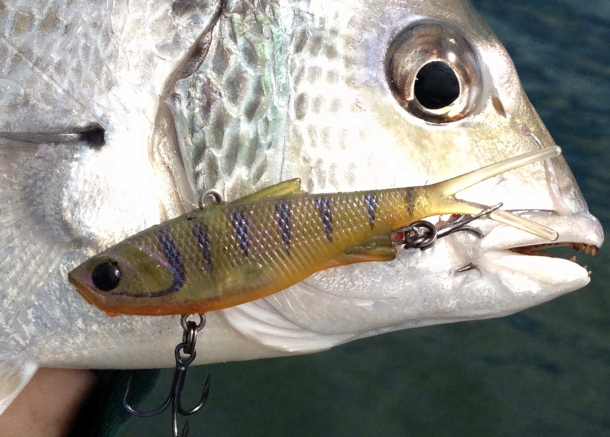 Tested: Samaki Vibelicious 70mm